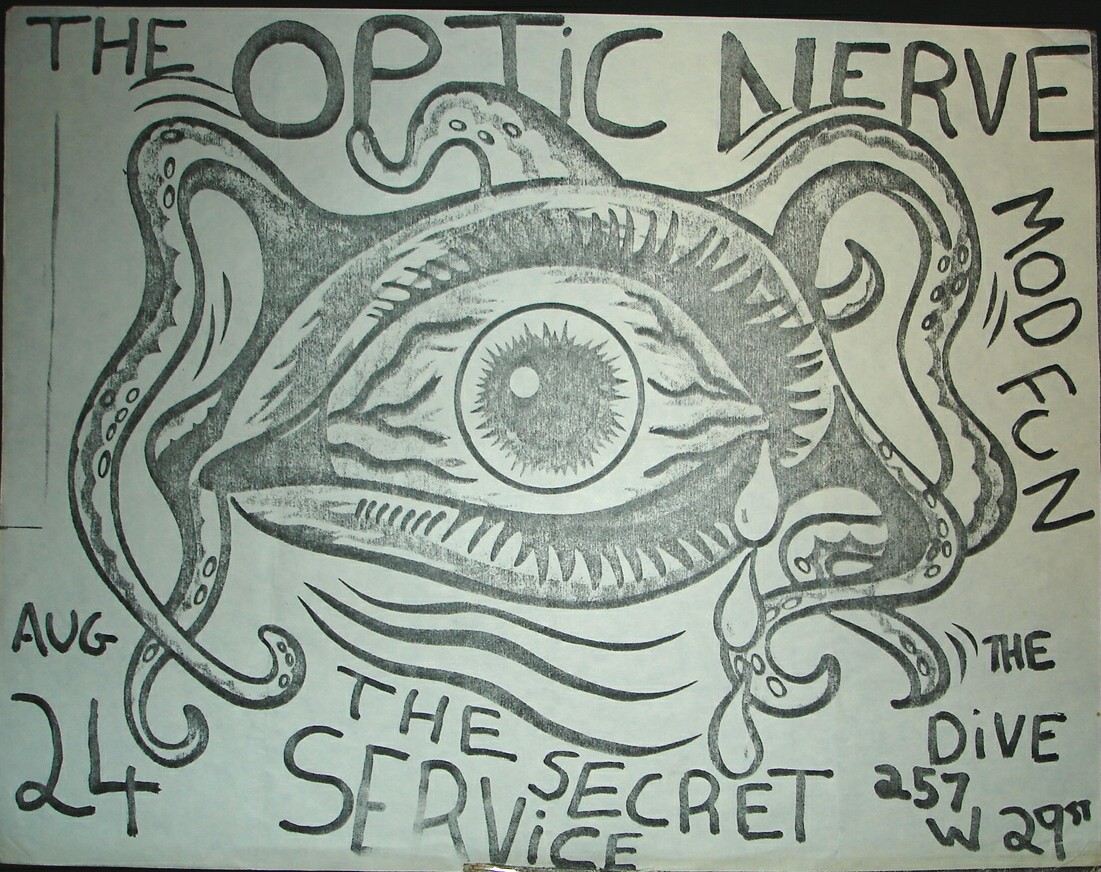 opticnerve1a.jpg